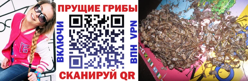 нарко площадка формула  hydra маркетплейс  Псилоцибиновые грибы Psilocybe  Комсомольск  где купить наркотик 