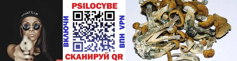 Галлюциногенные грибы мухоморы Комсомольск